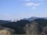 IMG_0067.jpg